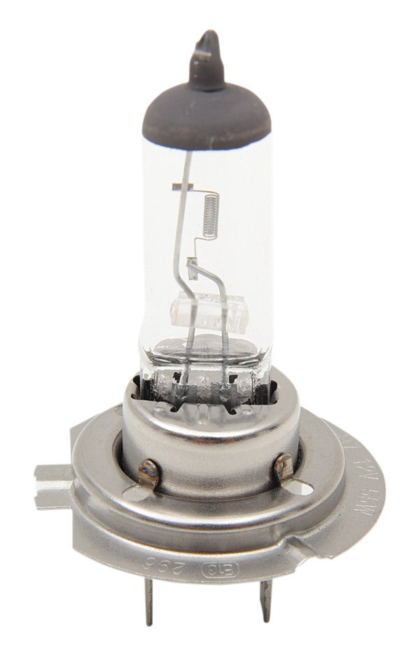  Drag Specialties H7 Halogen Headlight Bulb